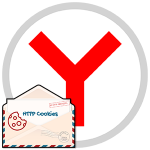 Где находятся файлы Cookie в Yandex и можно ли их посмотреть