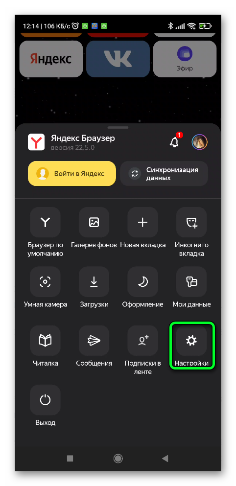 Настройки Яндекс браузера на телефоне