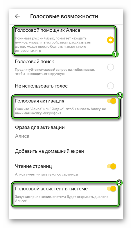 Полная активация Алисы в настройках Яндекс.Браузера для Android
